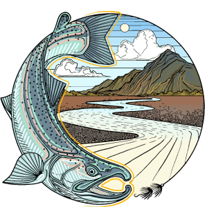 Sockeye Salmon - Flies - Alaska Fly Fishing Goods